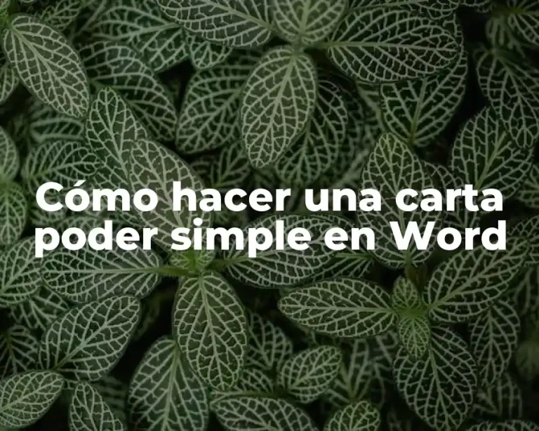 Cómo hacer una carta poder simple en Word