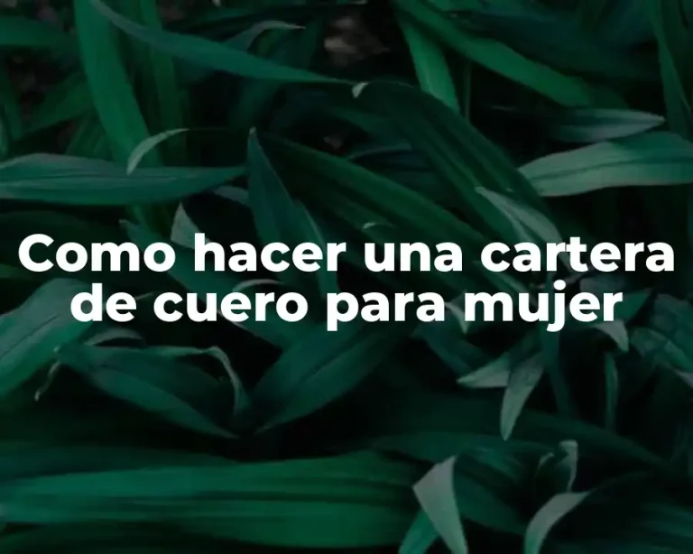 Como hacer una cartera de cuero para mujer