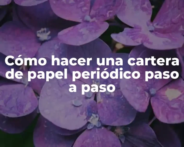 Cómo hacer una cartera de papel periódico paso a paso