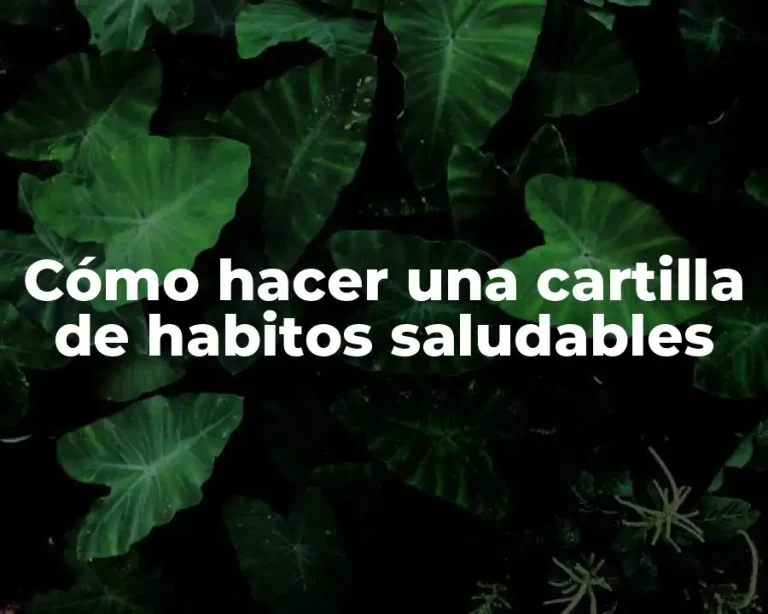 Cómo hacer una cartilla de habitos saludables