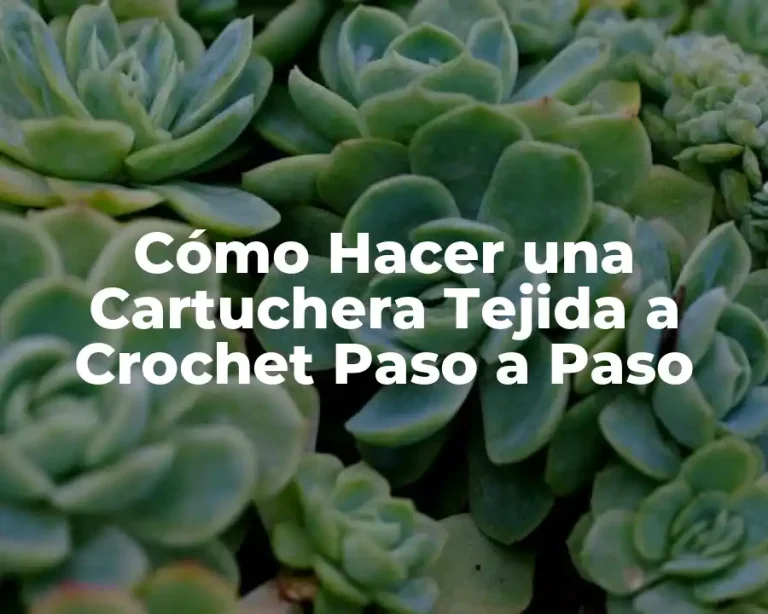Cómo Hacer una Cartuchera Tejida a Crochet Paso a Paso