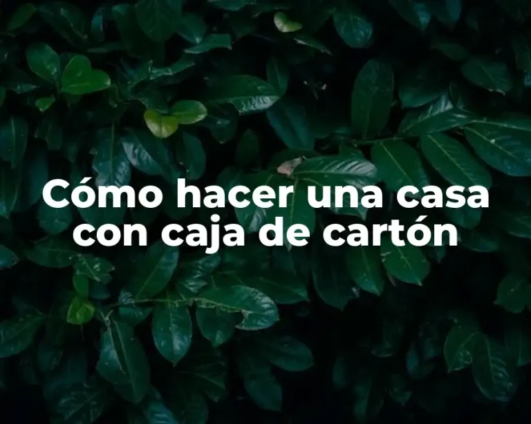 Cómo hacer una casa con caja de cartón