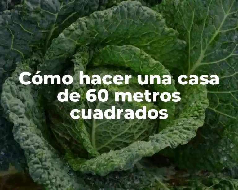 Cómo hacer una casa de 60 metros cuadrados