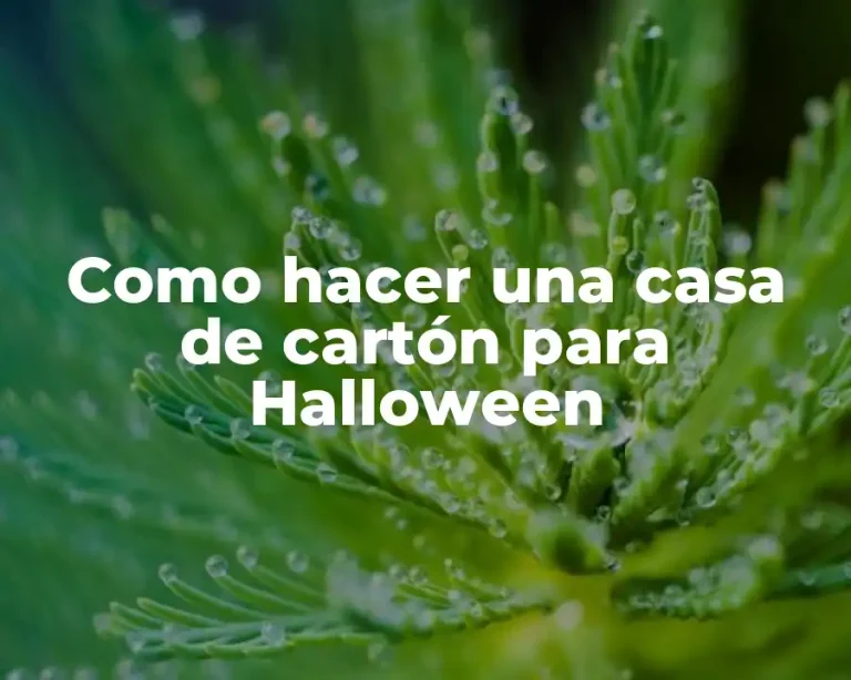 Como hacer una casa de cartón para Halloween