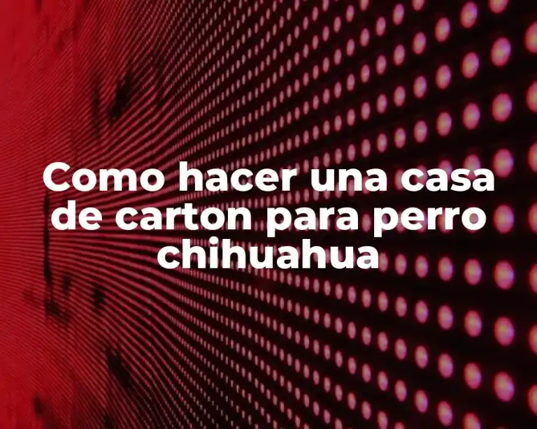 Como hacer una casa de carton para perro chihuahua