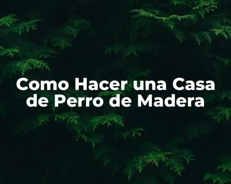 Como Hacer una Casa de Perro de Madera
