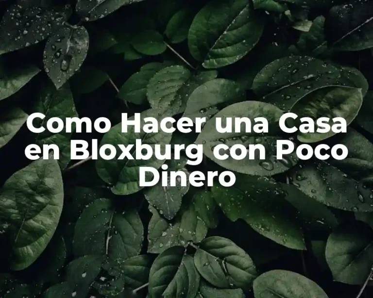 Como Hacer una Casa en Bloxburg con Poco Dinero