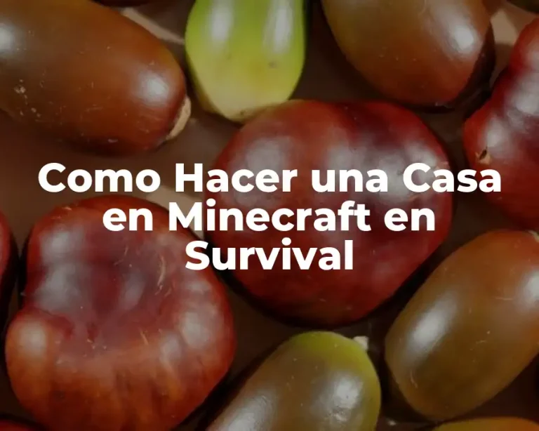 Como Hacer una Casa en Minecraft en Survival
