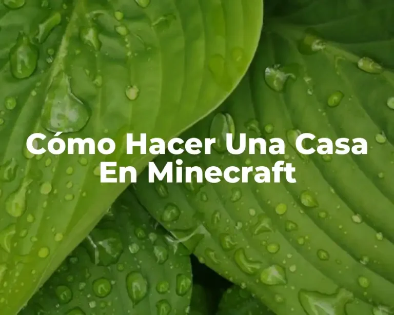 Cómo Hacer Una Casa En Minecraft