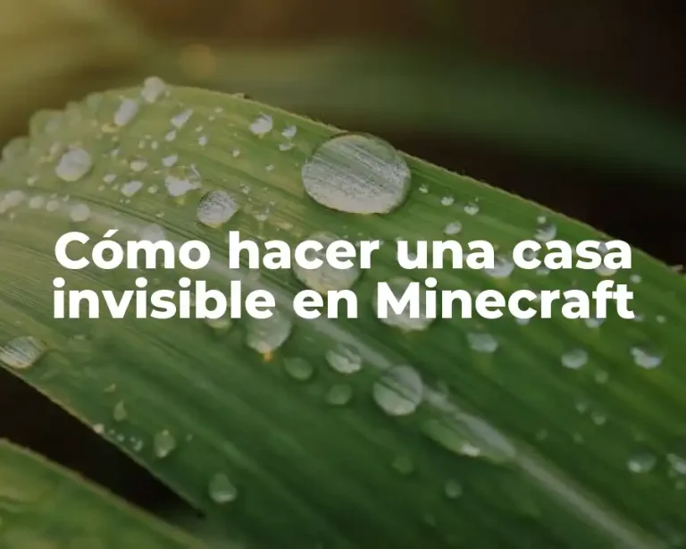 Cómo hacer una casa invisible en Minecraft