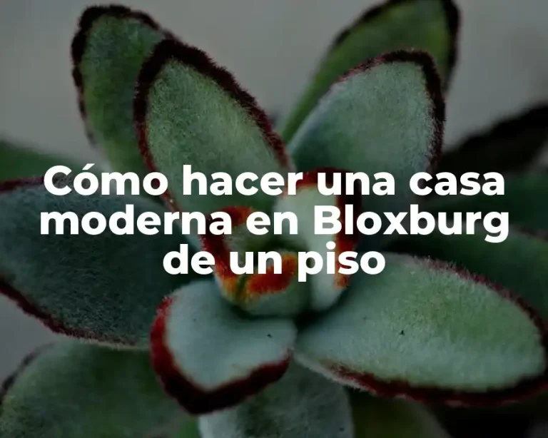 Cómo hacer una casa moderna en Bloxburg de un piso