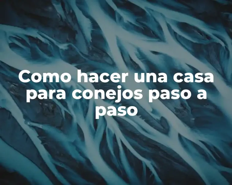 Como hacer una casa para conejos paso a paso