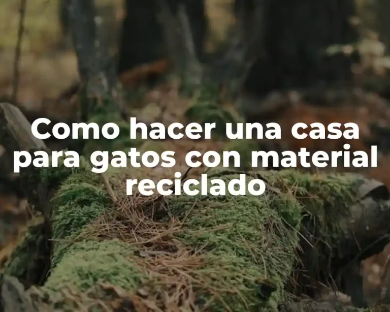 Como hacer una casa para gatos con material reciclado