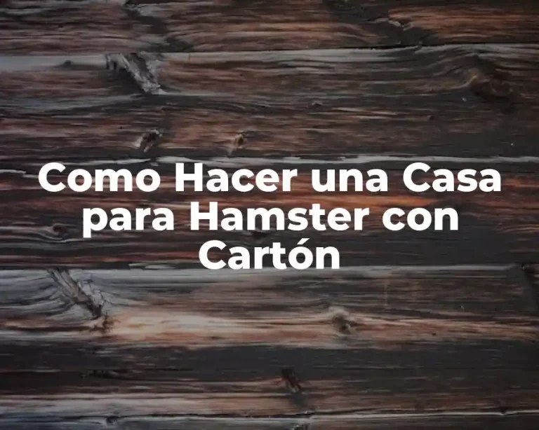 Como Hacer una Casa para Hamster con Cartón