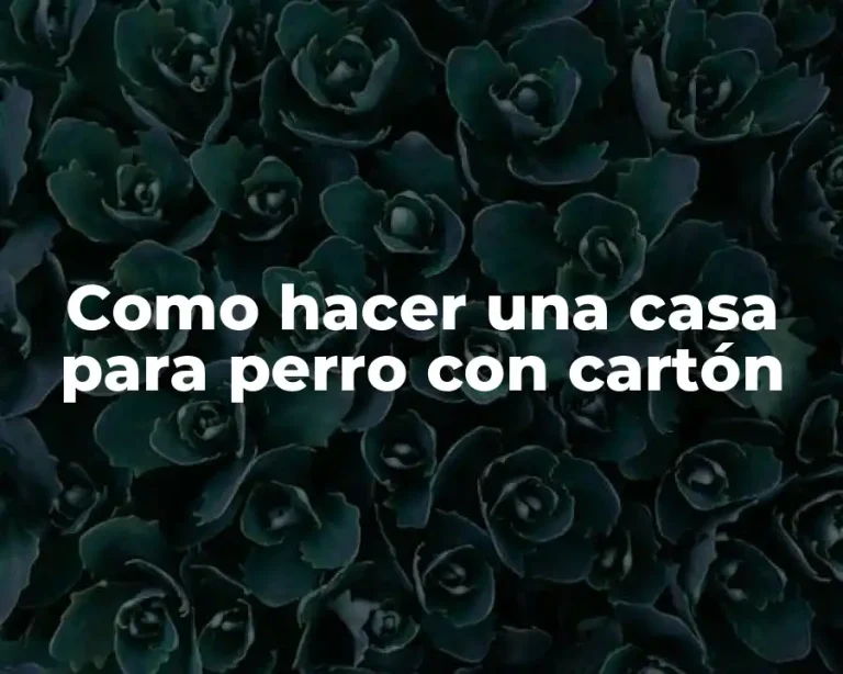 Como hacer una casa para perro con cartón
