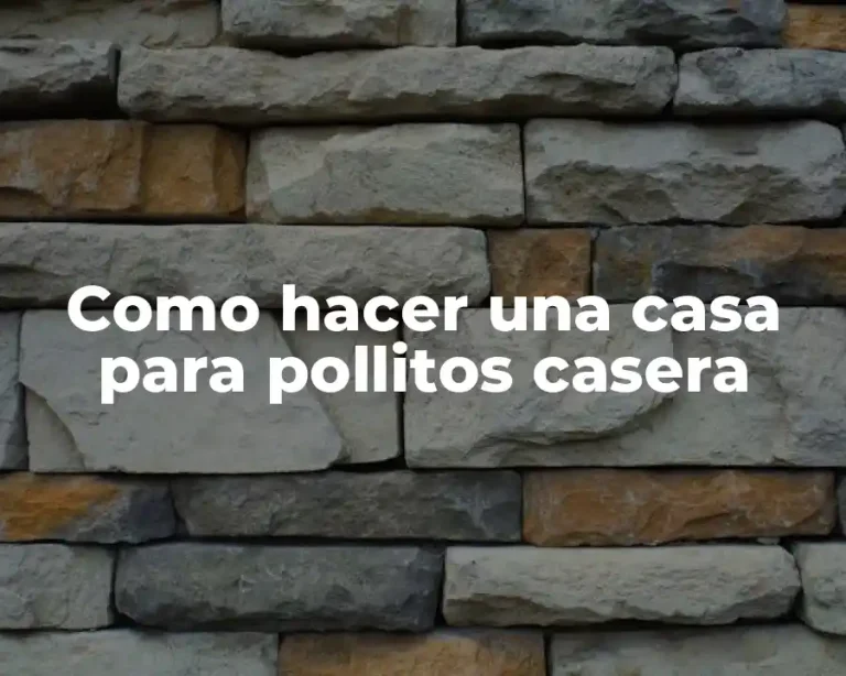 Como hacer una casa para pollitos casera