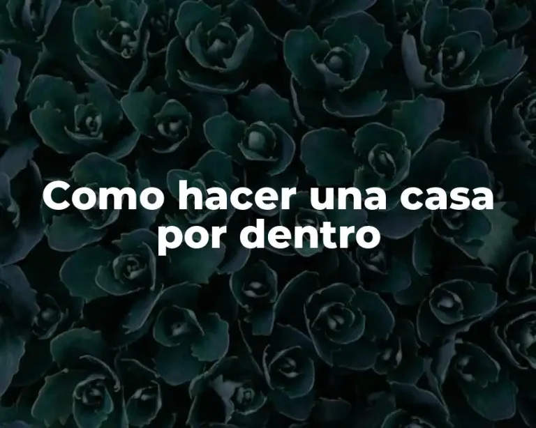 Como hacer una casa por dentro