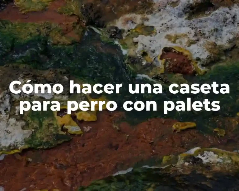 Cómo hacer una caseta para perro con palets