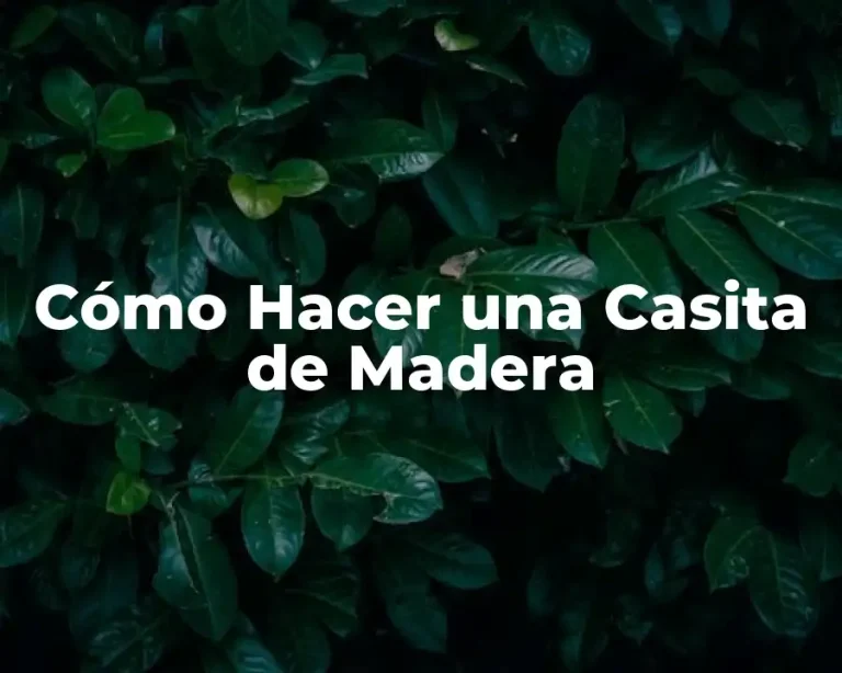 Cómo Hacer una Casita de Madera