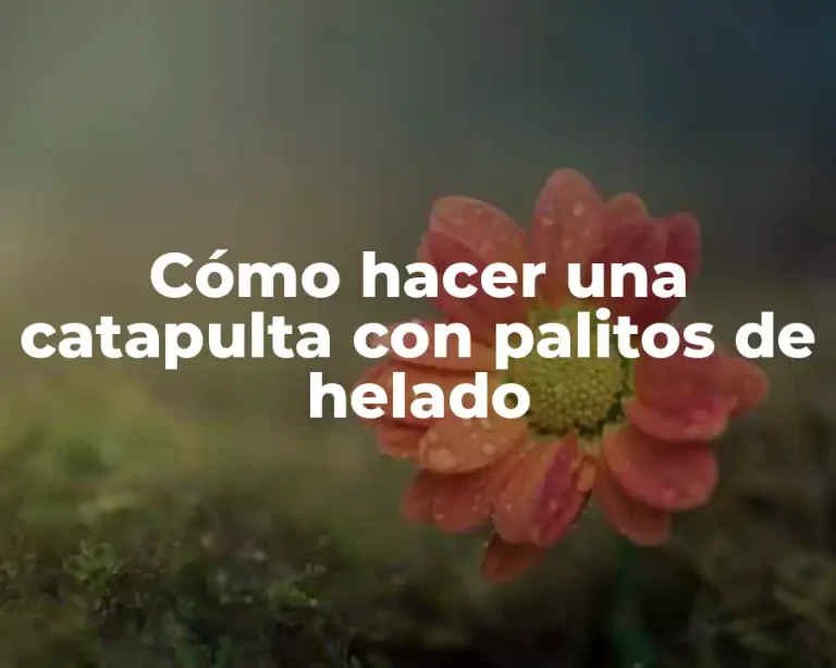 Cómo hacer una catapulta con palitos de helado