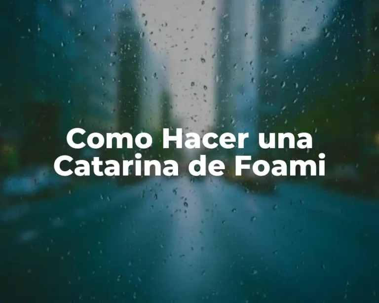 Como Hacer una Catarina de Foami
