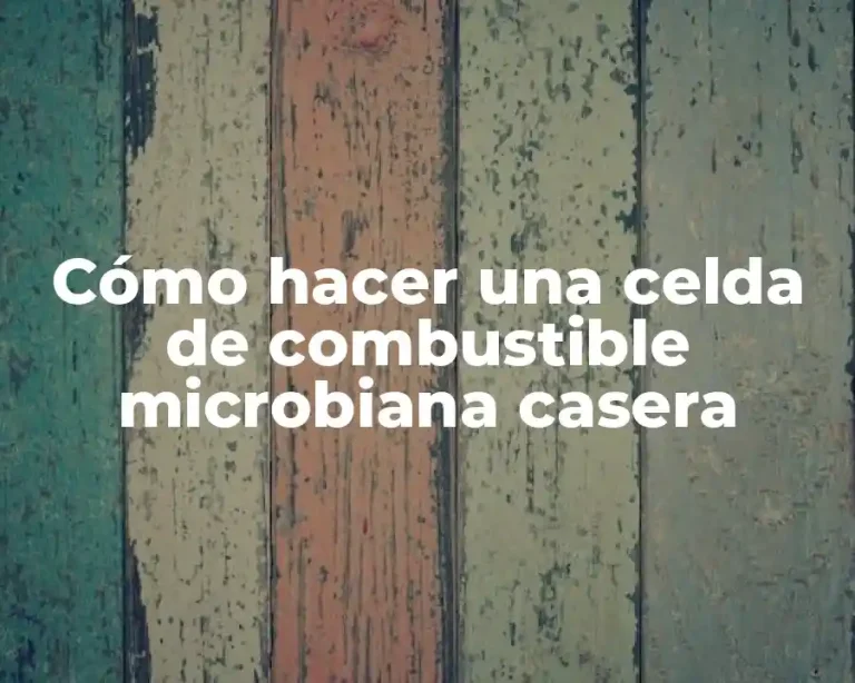 Cómo hacer una celda de combustible microbiana casera