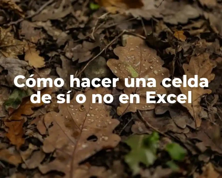 Cómo hacer una celda de sí o no en Excel