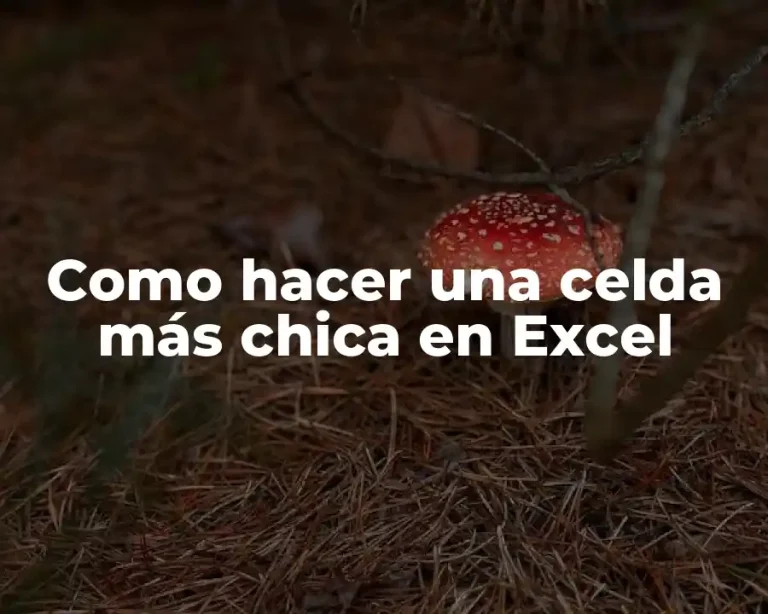 Como hacer una celda más chica en Excel