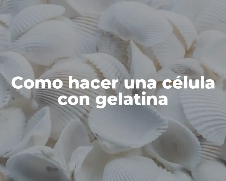Como hacer una célula con gelatina