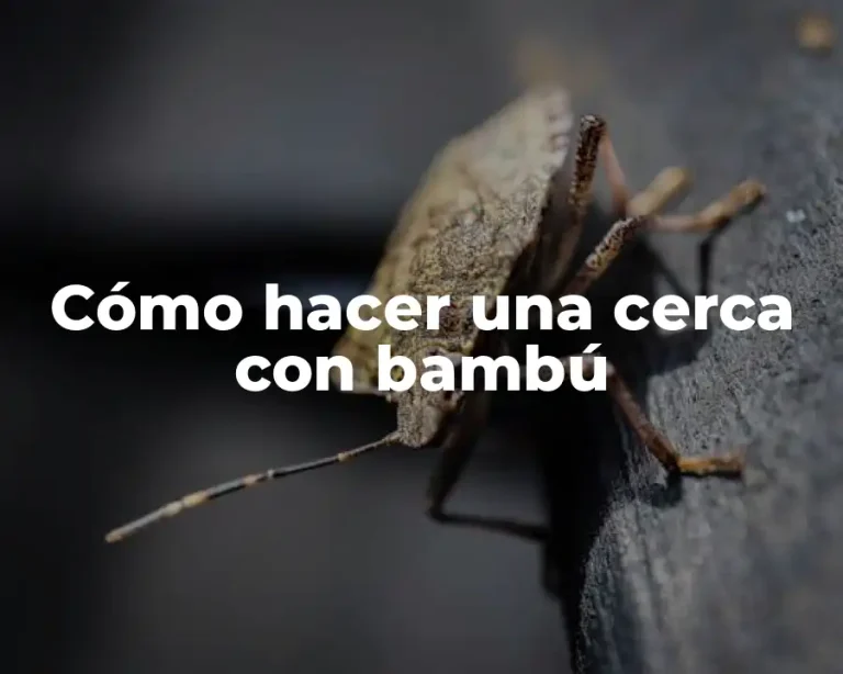 Cómo hacer una cerca con bambú