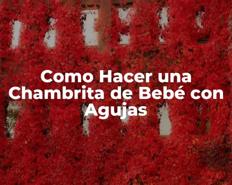 Como Hacer una Chambrita de Bebé con Agujas