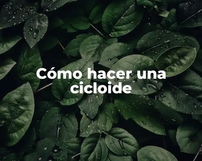 Cómo hacer una cicloide