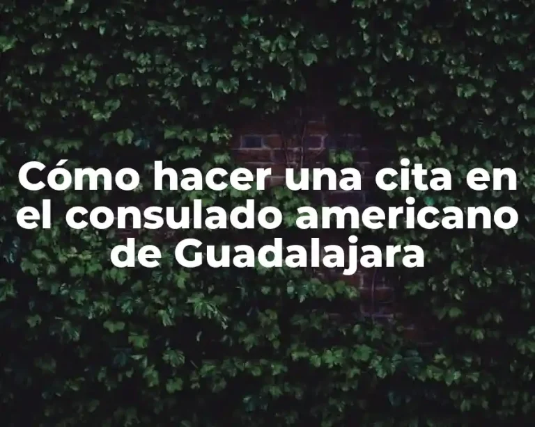 Cómo hacer una cita en el consulado americano de Guadalajara