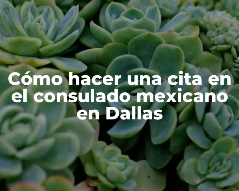 Cómo hacer una cita en el consulado mexicano en Dallas