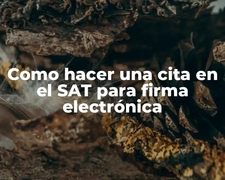 Como hacer una cita en el SAT para firma electrónica