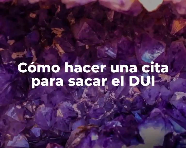 Cómo hacer una cita para sacar el DUI