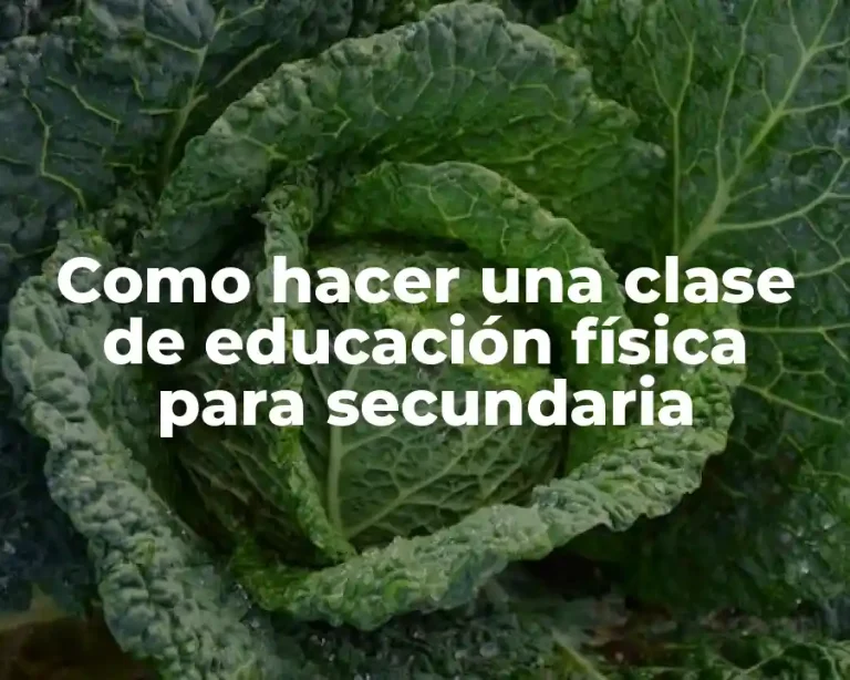 Como hacer una clase de educación física para secundaria