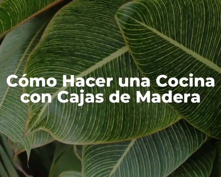 Cómo Hacer una Cocina con Cajas de Madera