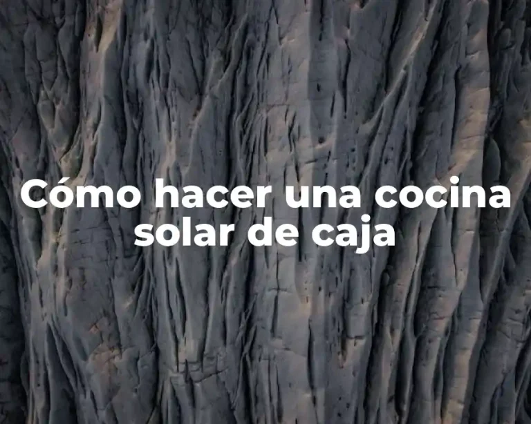 Cómo hacer una cocina solar de caja