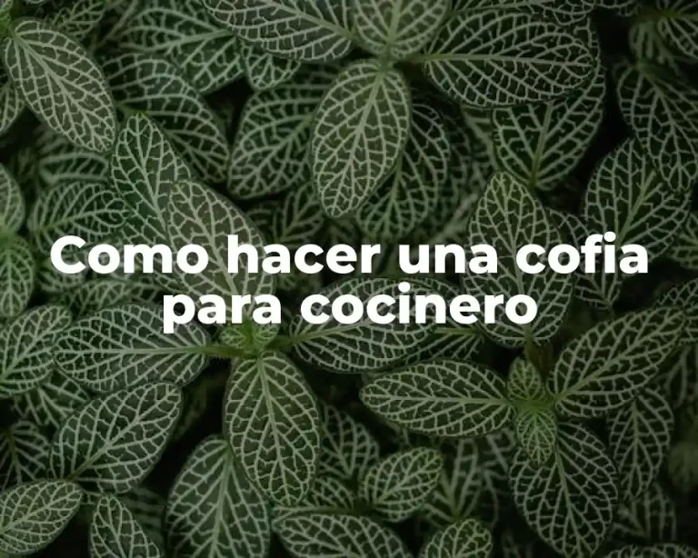 Como hacer una cofia para cocinero