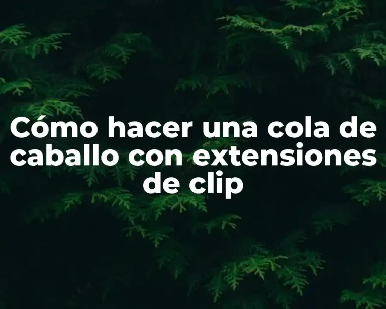 Cómo hacer una cola de caballo con extensiones de clip
