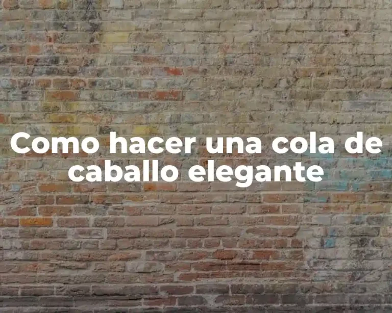 Como hacer una cola de caballo elegante