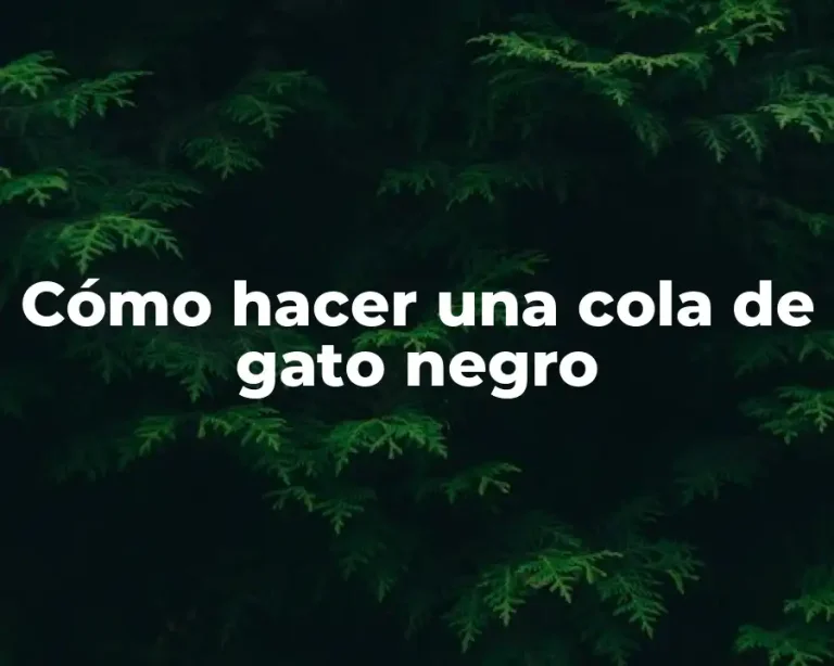 Cómo hacer una cola de gato negro