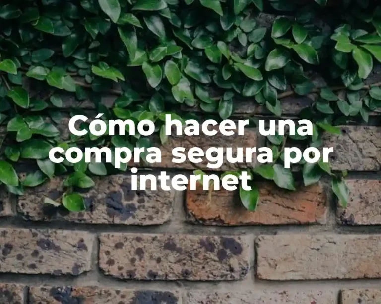 Cómo hacer una compra segura por internet