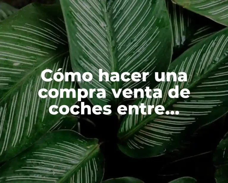 Cómo hacer una compra venta de coches entre particulares