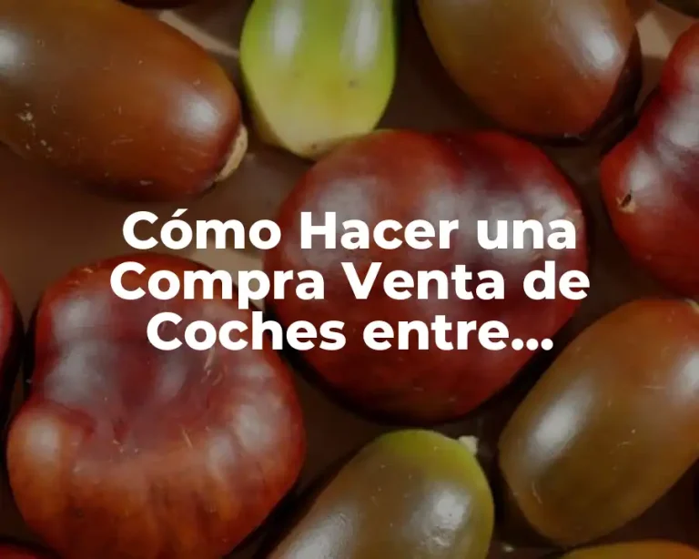 Cómo Hacer una Compra Venta de Coches entre Particulares