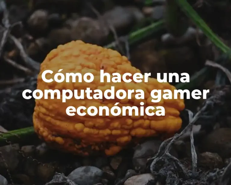 Cómo hacer una computadora gamer económica