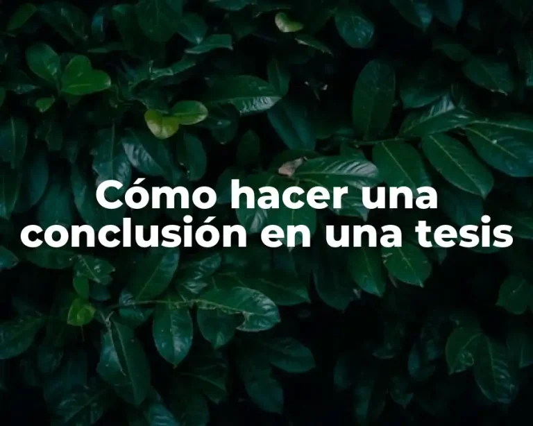 Cómo hacer una conclusión en una tesis