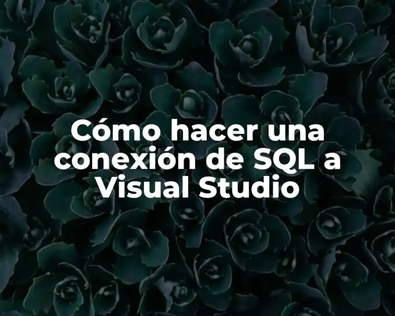 Cómo hacer una conexión de SQL a Visual Studio