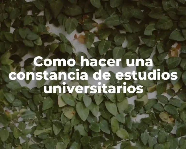 Como hacer una constancia de estudios universitarios